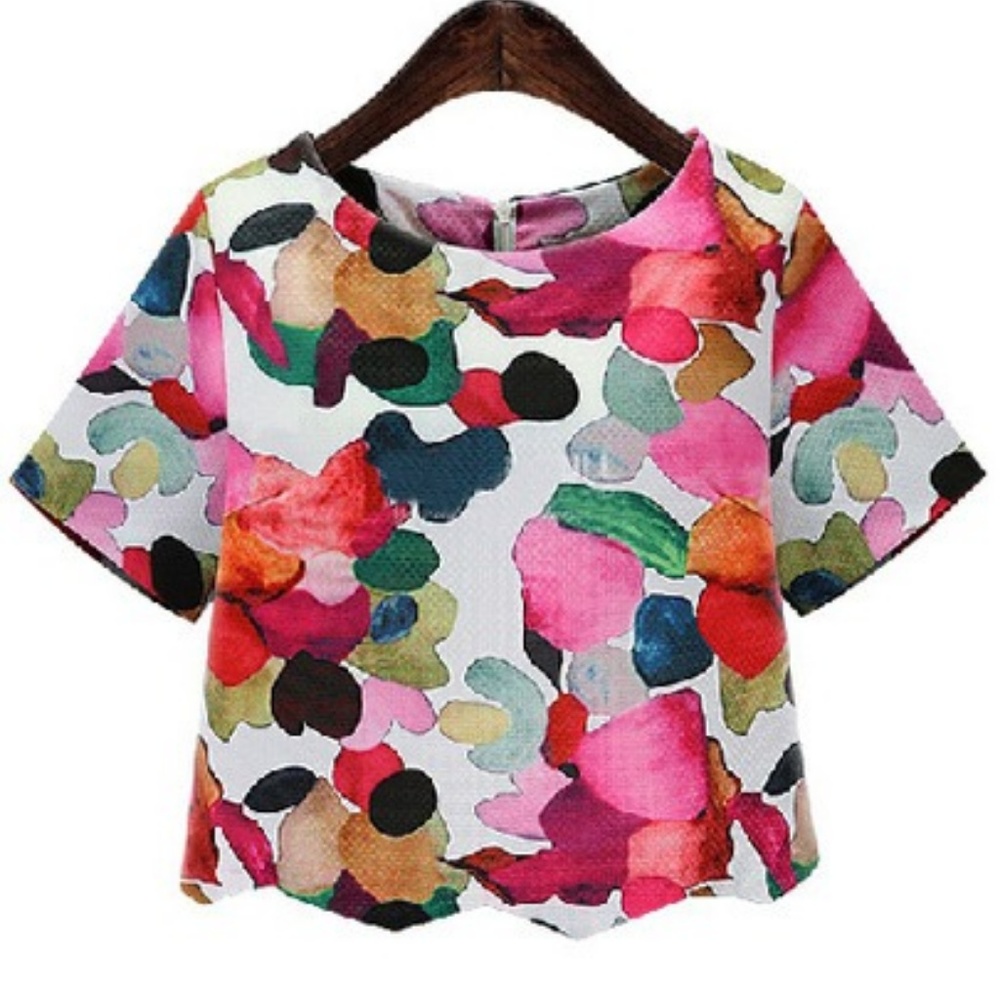 Ikat Neat Awesome Calico Print Crop Blouse